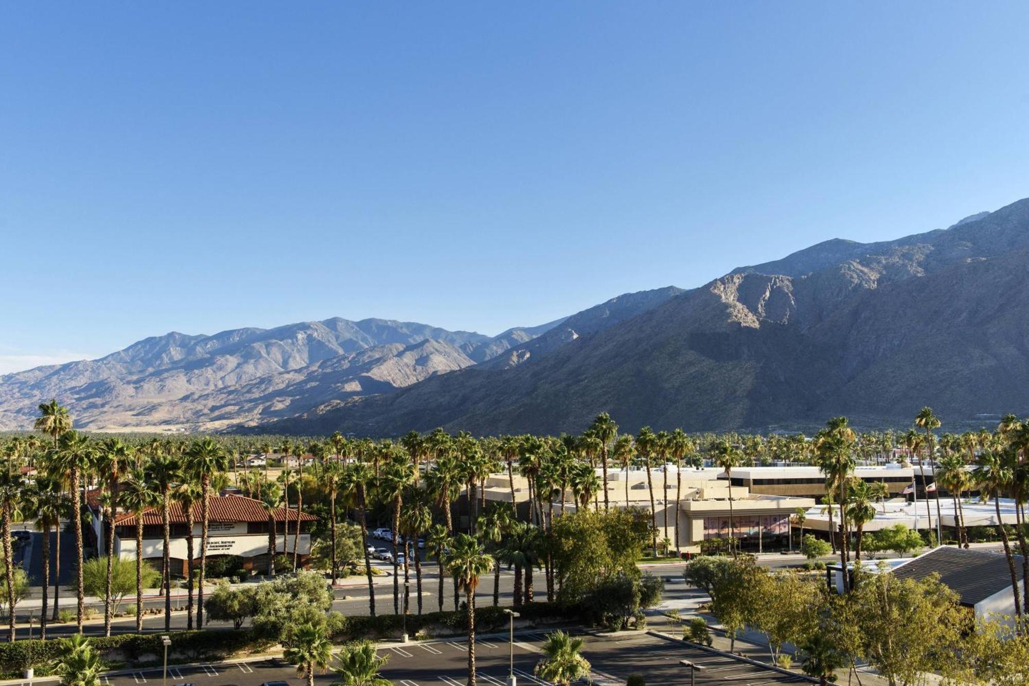 Junior King Suite Mountain View No Resort Fees